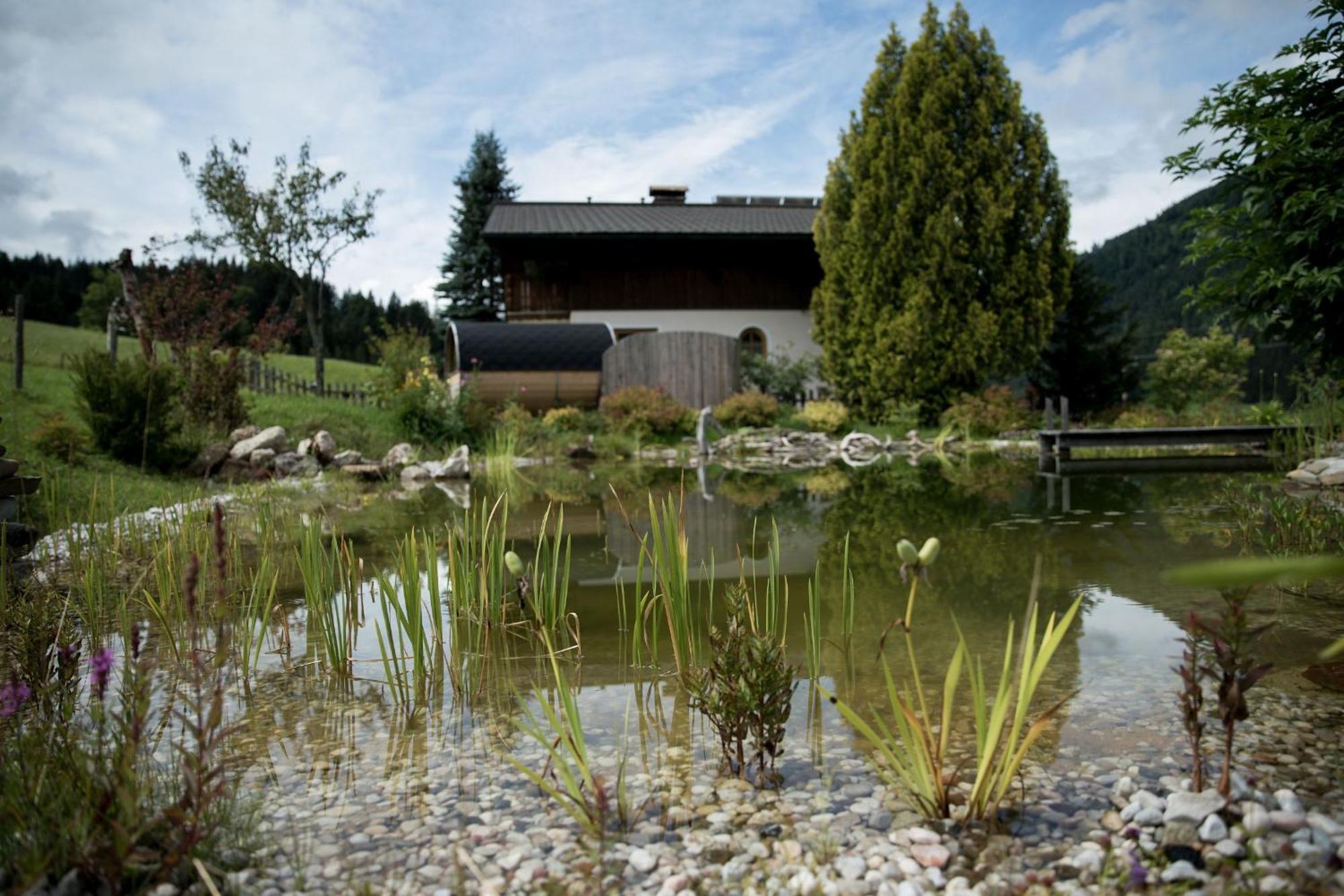 Appartement Schneckenhaus Dachstein West Russbach am Pass Gschütt
